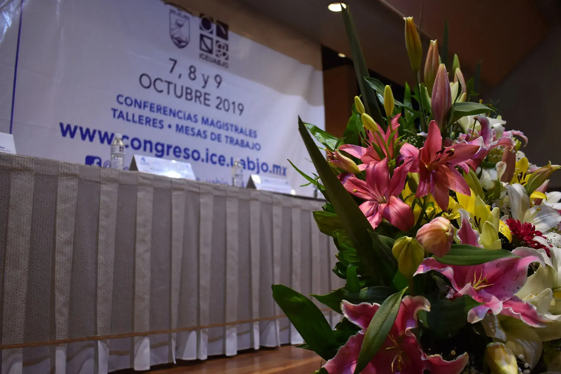 Acerca del Congreso
